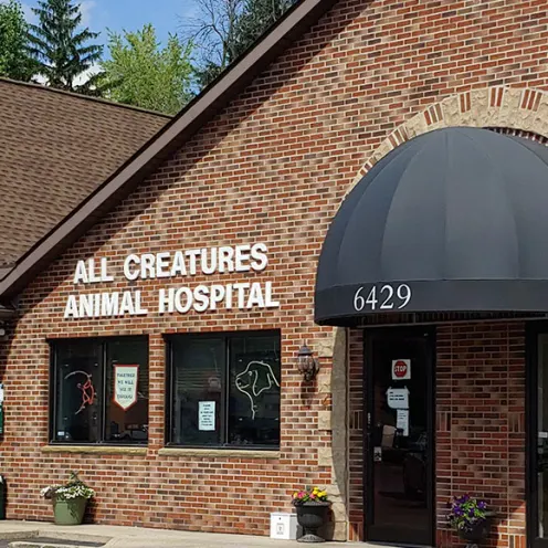 All Creatures (NY) Exterior